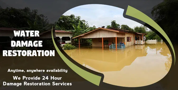 #bslide1 logo-image - banner-01