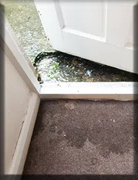 Coconut Creek Restoration Expert Coconut Creek, FL 954-343-7049 Coconut Creek Restoration Expert Coconut Creek, FL 954-343-7049 - sb-02