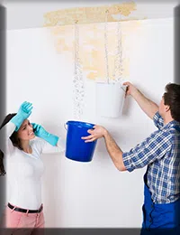 Coconut Creek Restoration Expert Coconut Creek, FL 954-343-7049 Coconut Creek Restoration Expert Coconut Creek, FL 954-343-7049 - sb-03